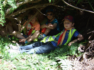 Beavers action photo